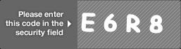 captcha code for visual authentication  letter E number 6 letter R number 8