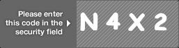 captcha code for visual authentication  letter N number 4 letter X number 2